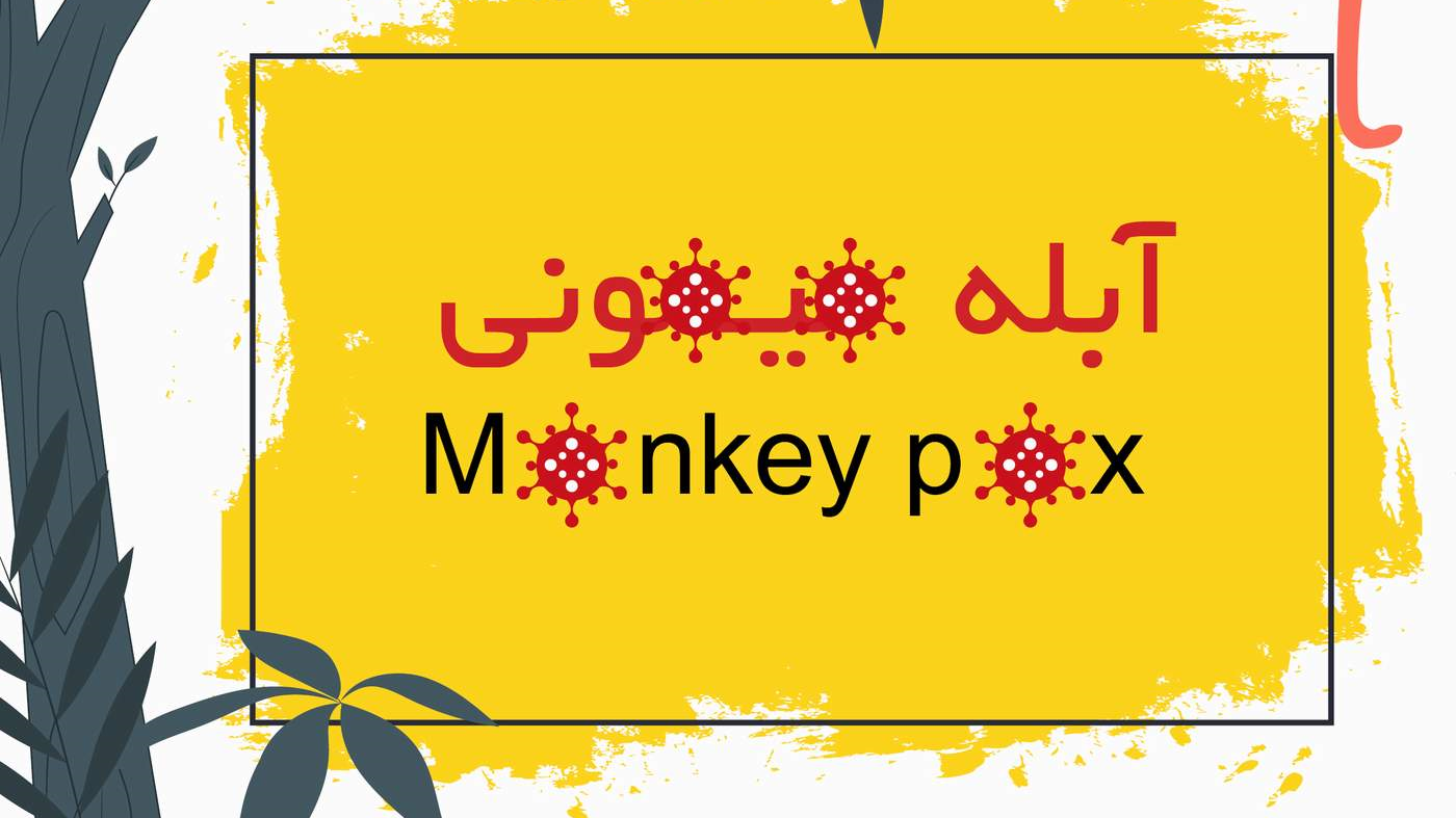 چگونه از ابتلا به آبله میمونی پیشگیری کنیم؟/ اینفوگرافیک